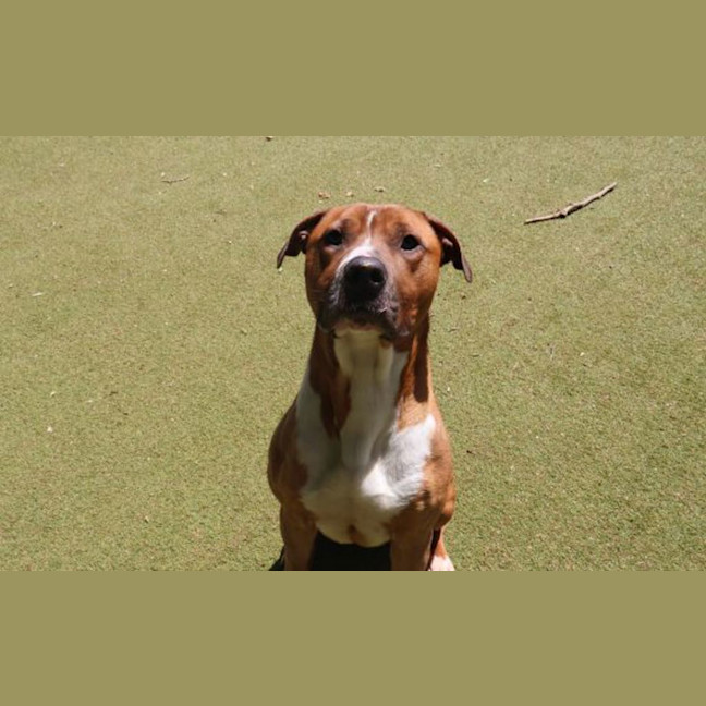 Photo of Zeek