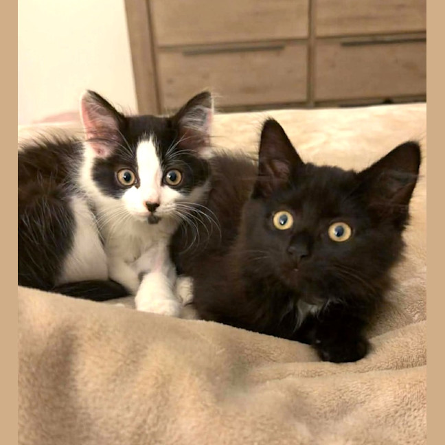 Photo of 💜 Winnie 💜