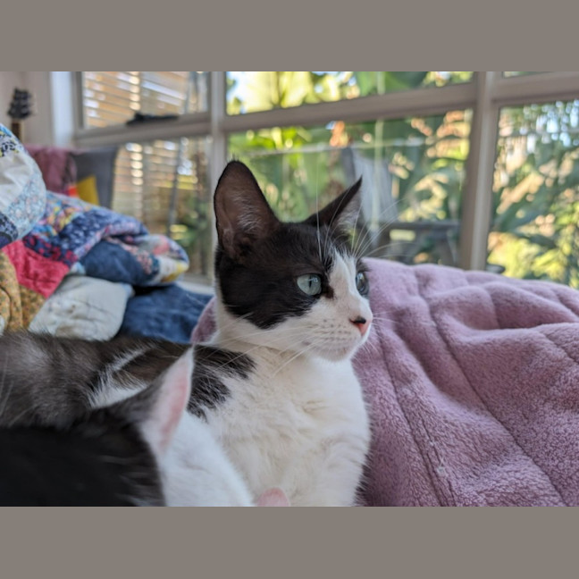 Photo of Francis 🌹🌹