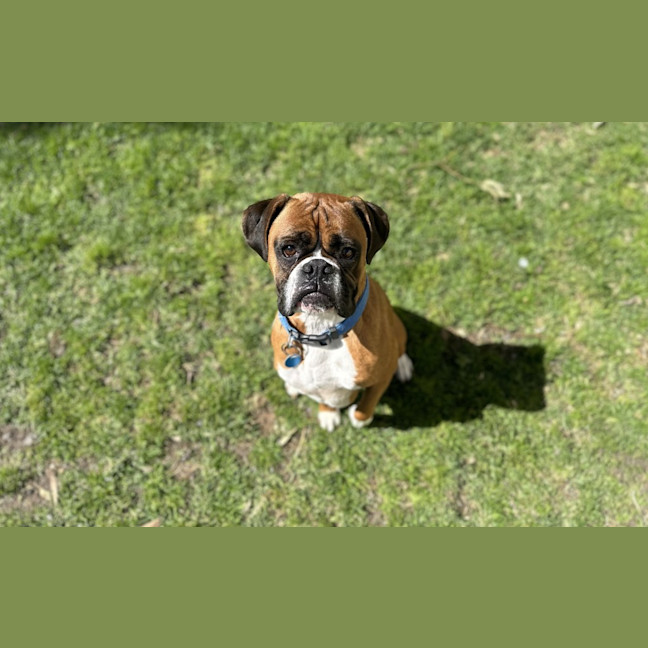 Photo of Toto