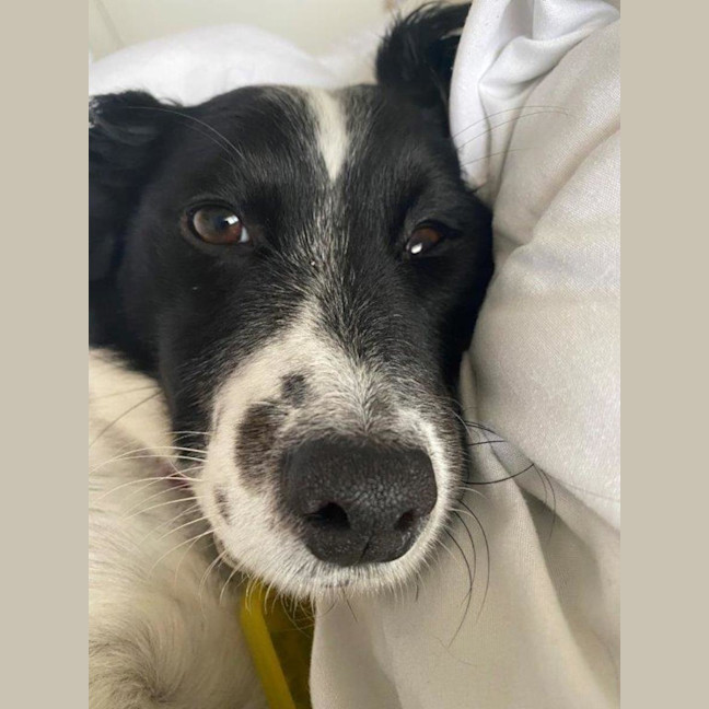 Photo of Sam Jablonski