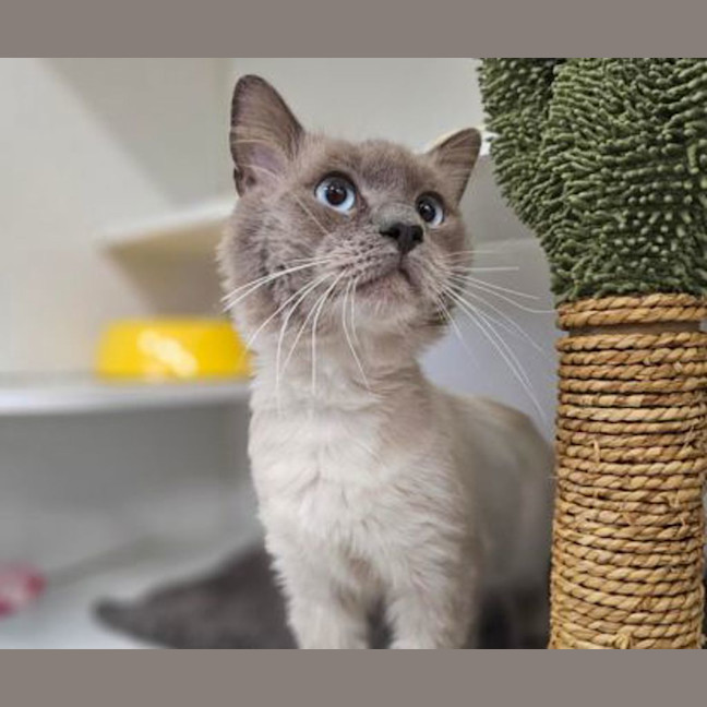 Photo of Artemis