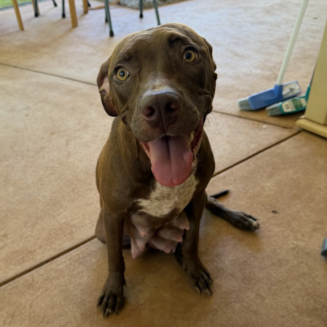 Photo of Heidi