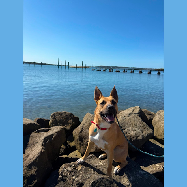 Photo of Happy 