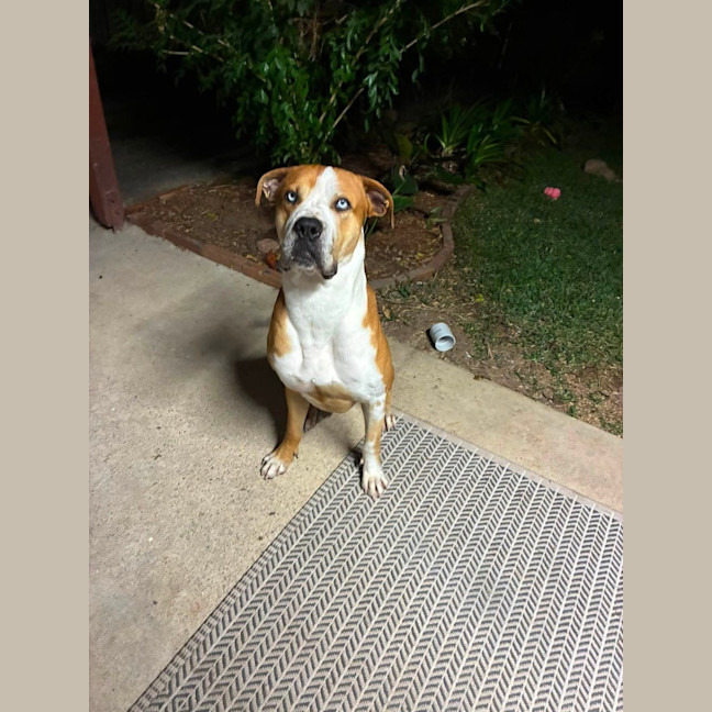 Photo of Benny