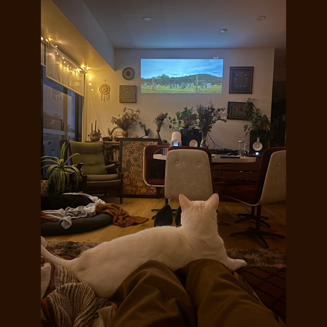 Photo of Bella The Foot Warmer
