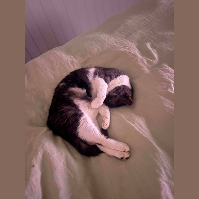 Photo of Maggie
