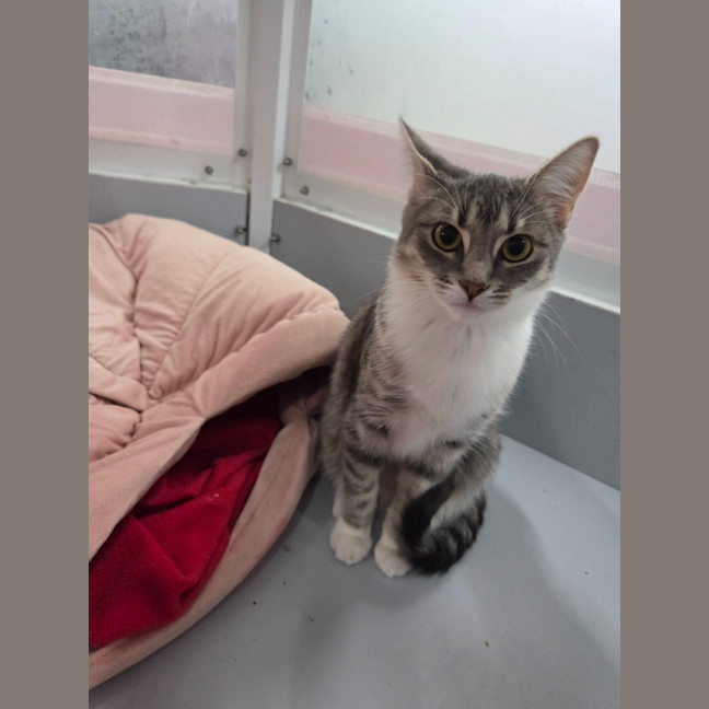 Photo of Diana   Loves Affection