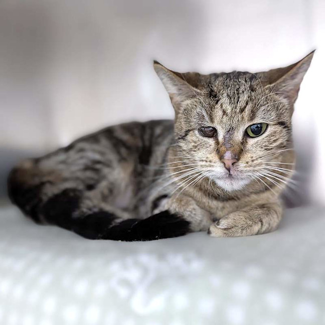 Photo of Leela