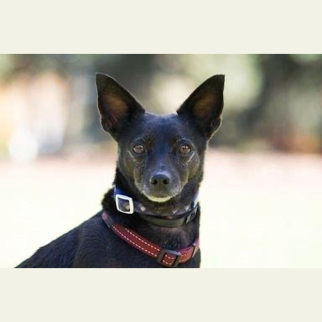 Photo of Basil Moriarty