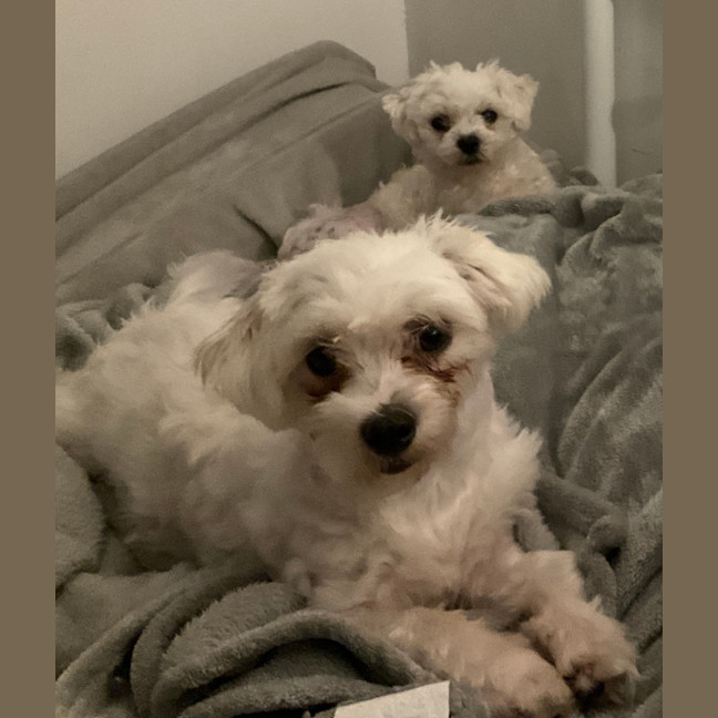 Photo of Rory & Lorie