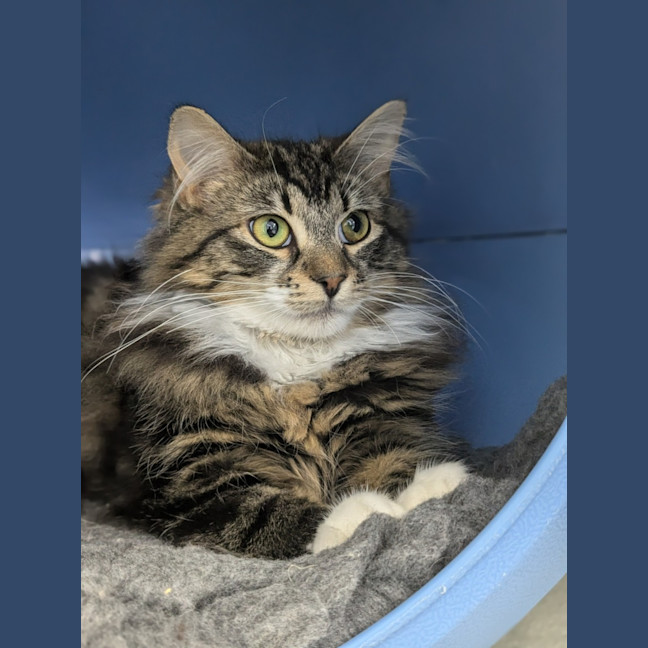 Photo of 🥼 Jesse 5511 🥼