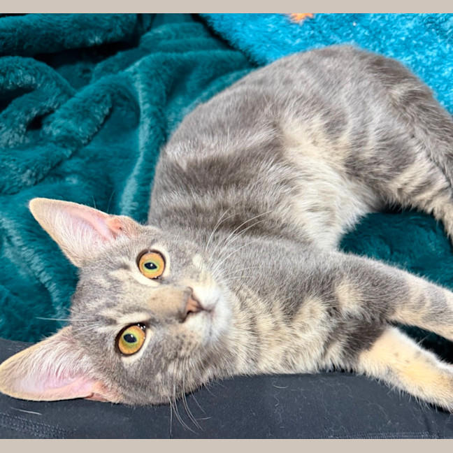 Photo of Morty