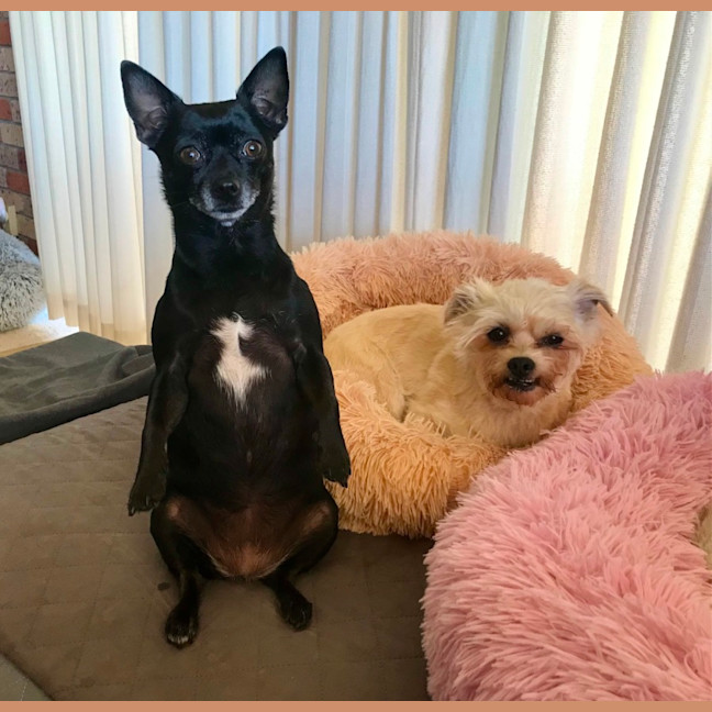 Photo of Milo & Angel