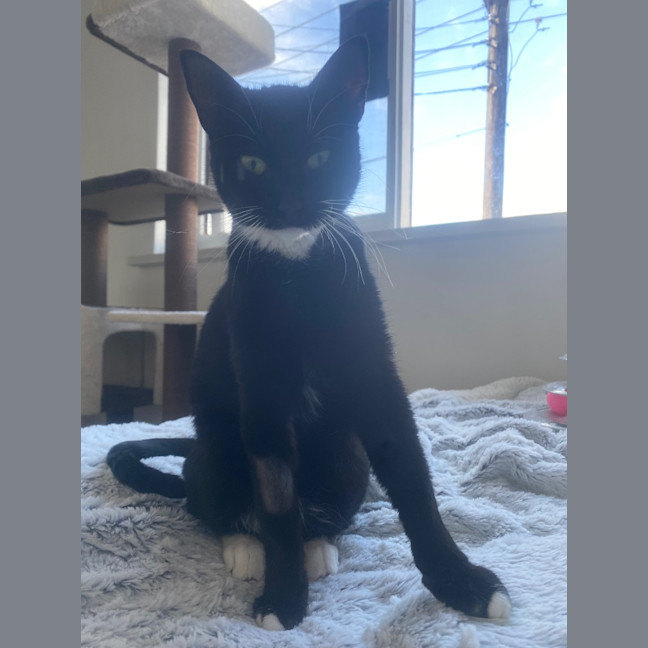 Photo of Luna Sanderson