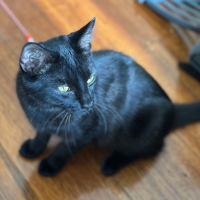 Photo of Riley
