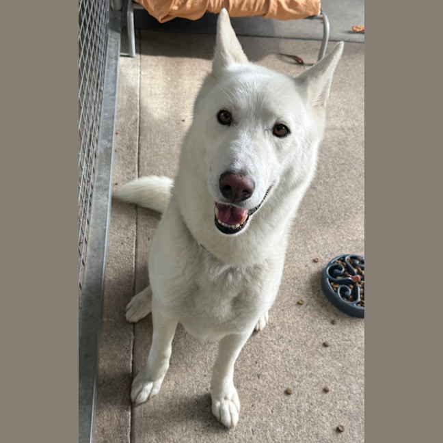 Photo of Axel