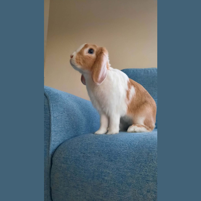 Photo of Ava