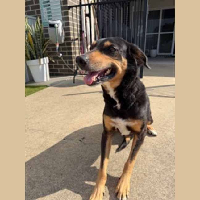 Photo of Molly 
