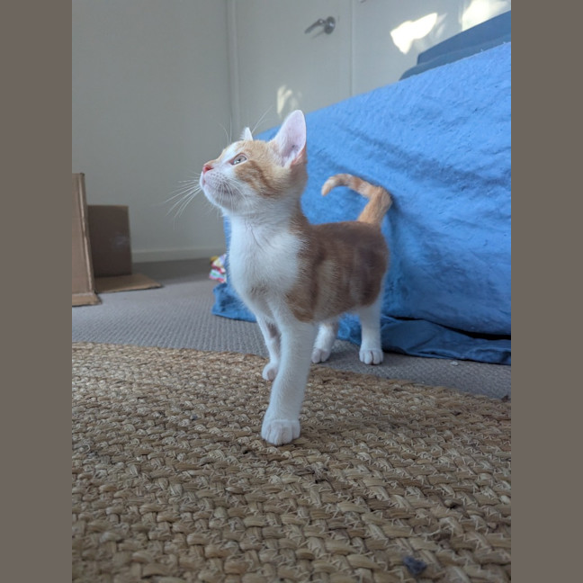 Photo of Stanley Golden