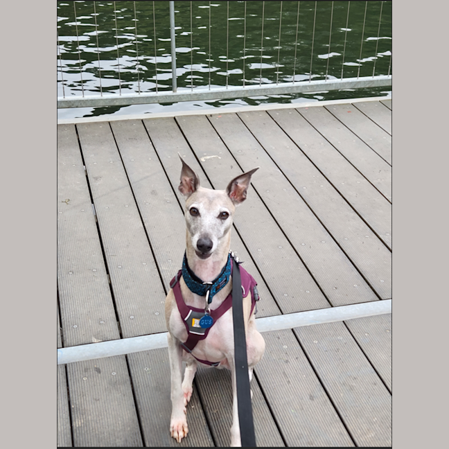 Photo of Gus