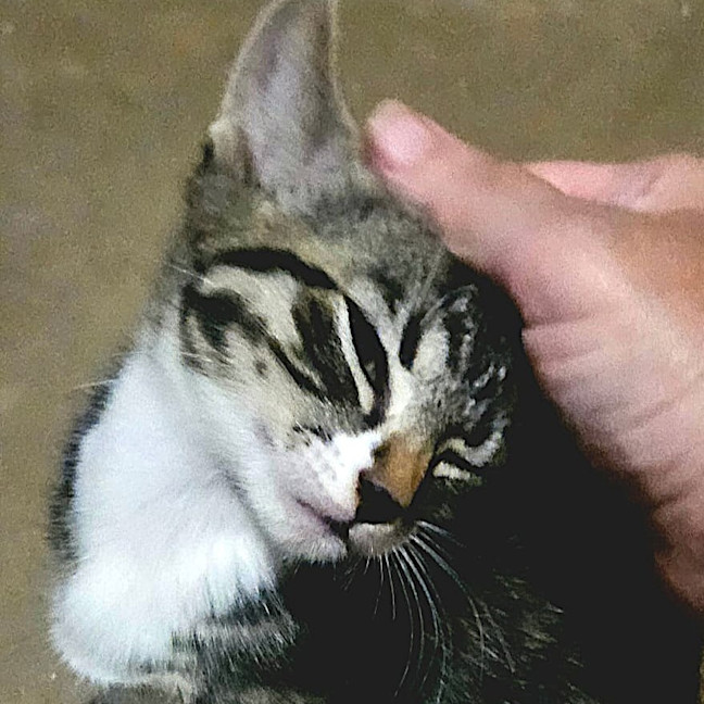 Photo of Olaf