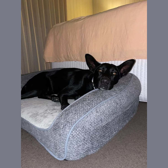 Photo of Rosie 