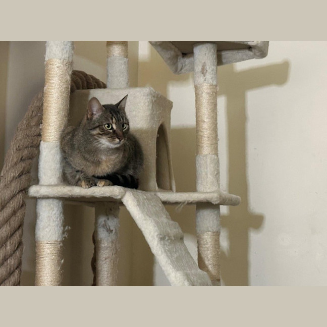 Photo of Aster Uffelman