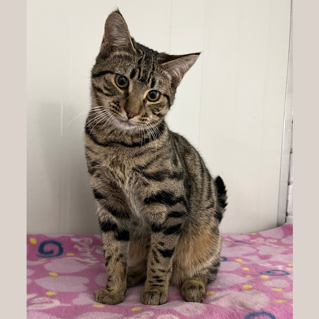 Photo of Paris