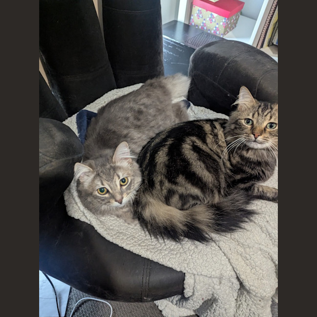 Photo of Wax & Wayne