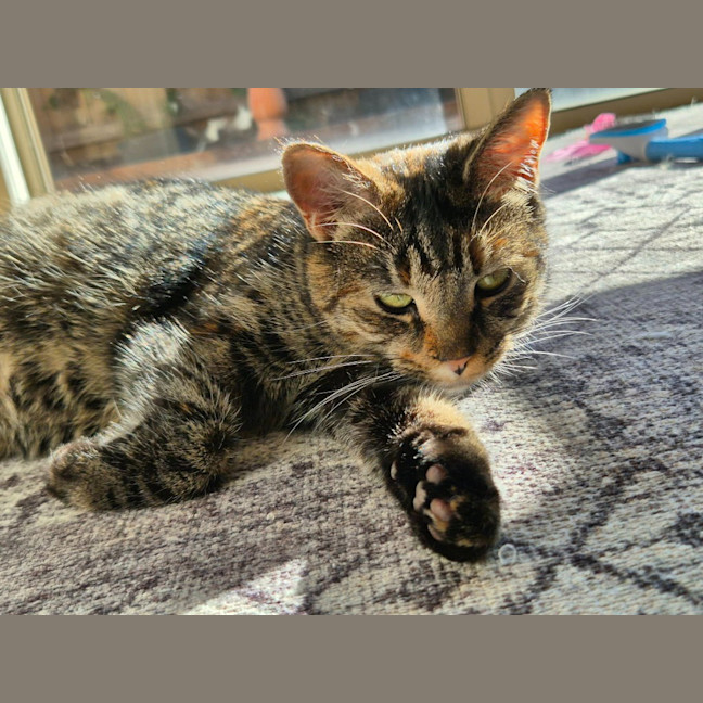 Photo of Stu / Sophie