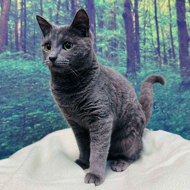 Photo of Travis   Located In Preston