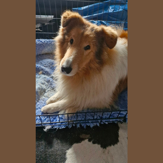 Photo of Marlee