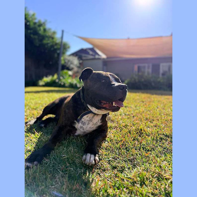 Photo of Sugar
