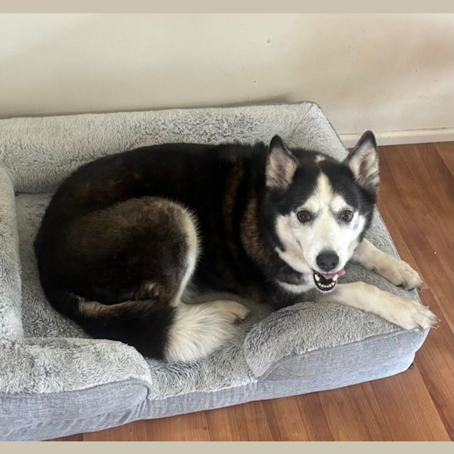 Photo of Mia