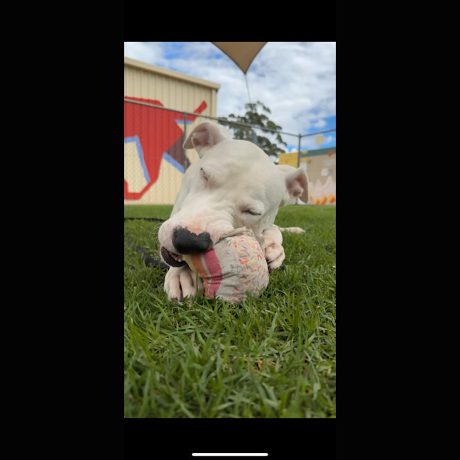 Photo of Wally