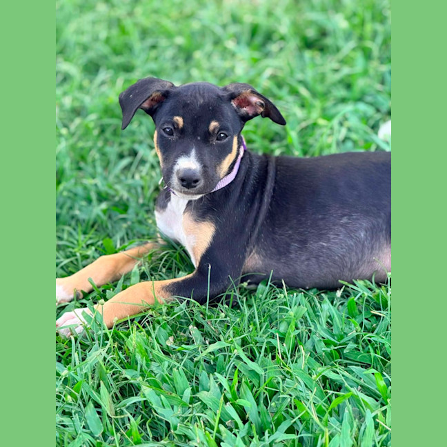 Photo of Vivi