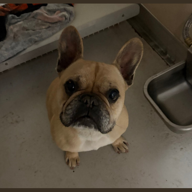 Photo of Melvin