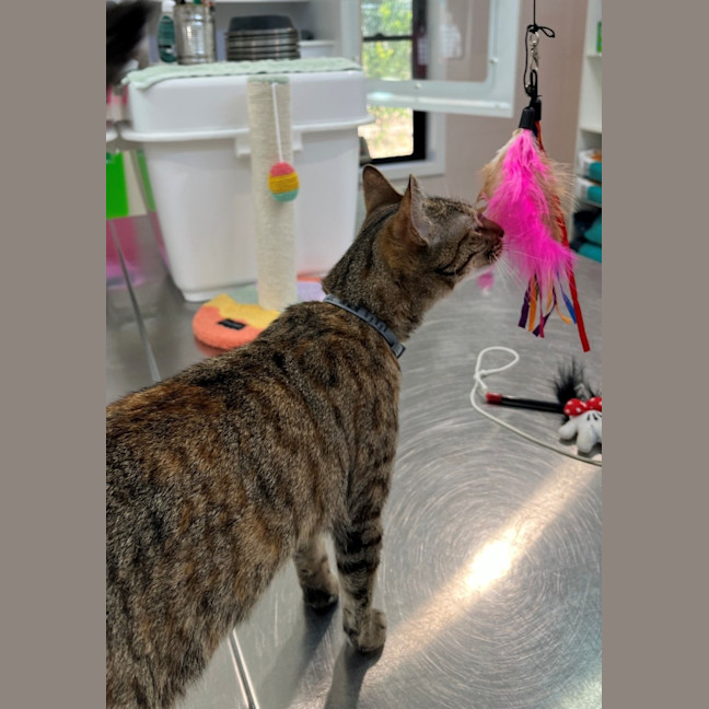 Photo of Louise (9123)