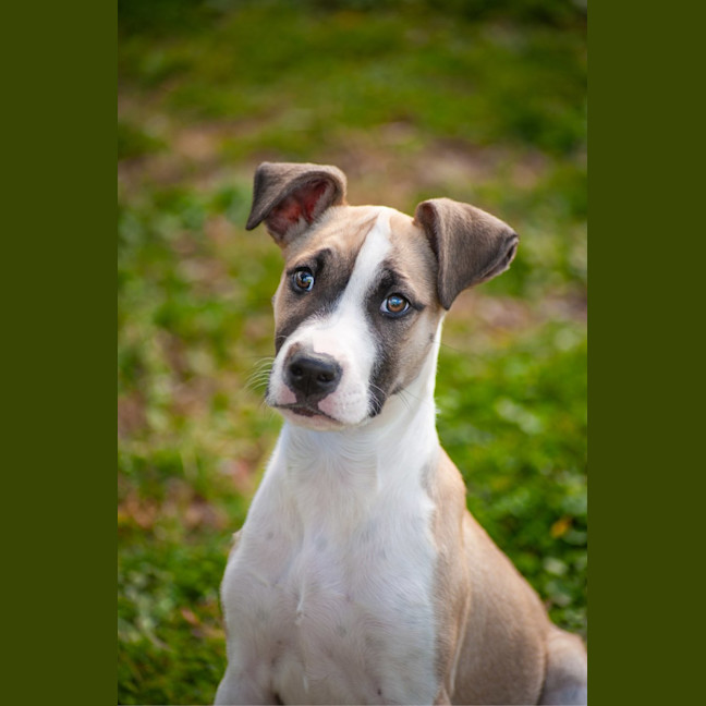 Photo of Princess