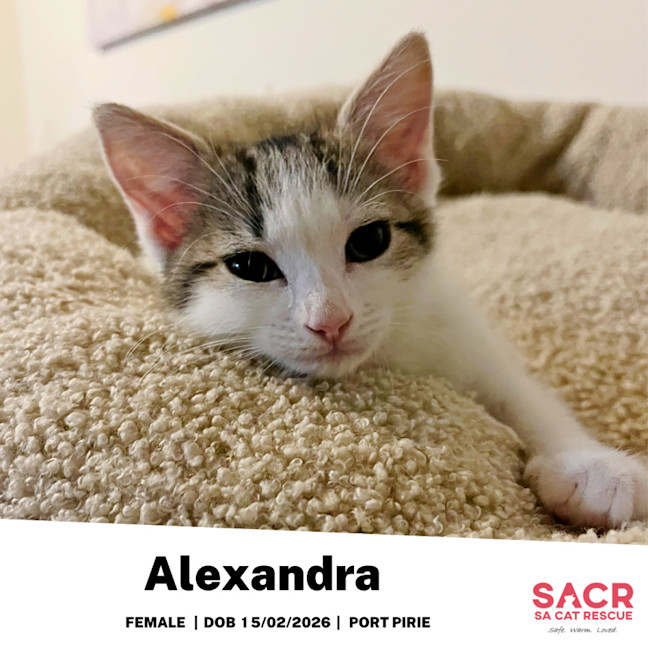 Photo of Alexandra