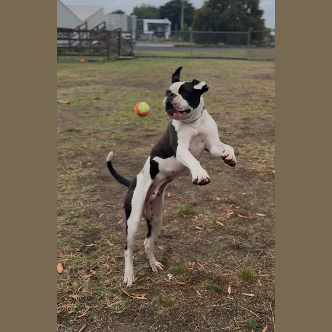 Photo of Gus