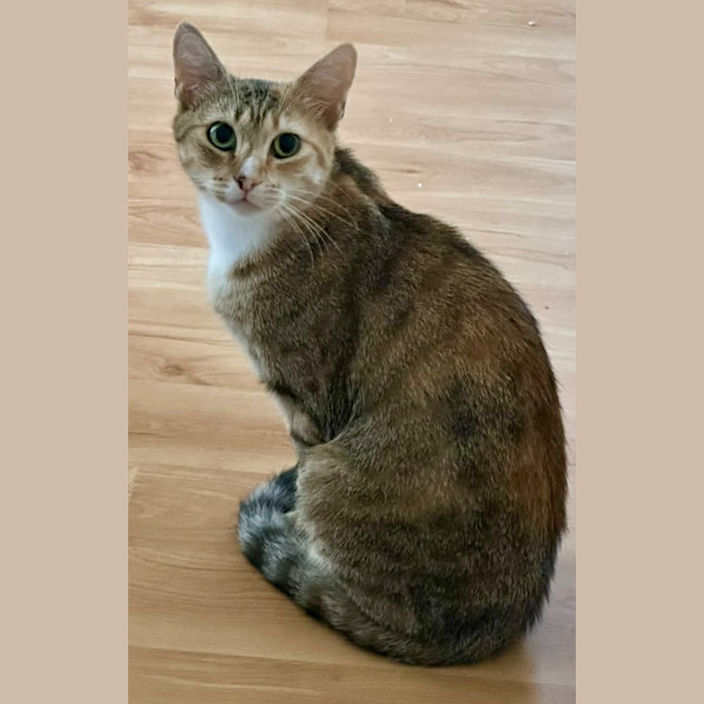 Photo of Tia Torrens