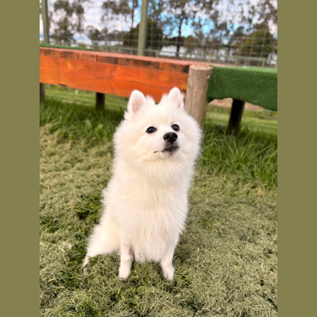 Photo of Yuki