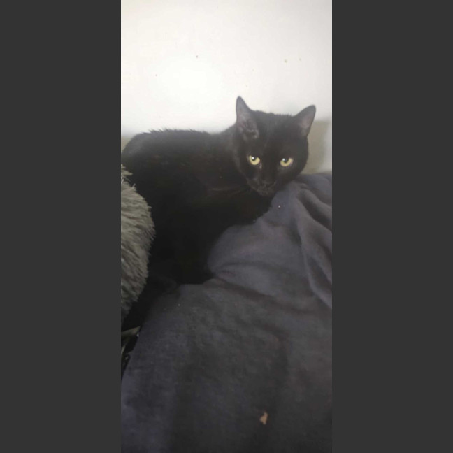 Photo of Mia
