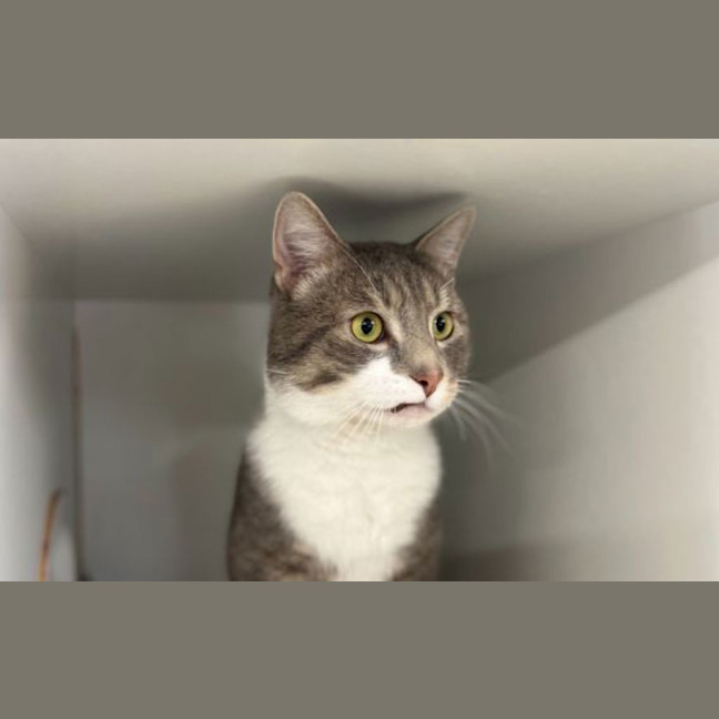 Photo of Julio