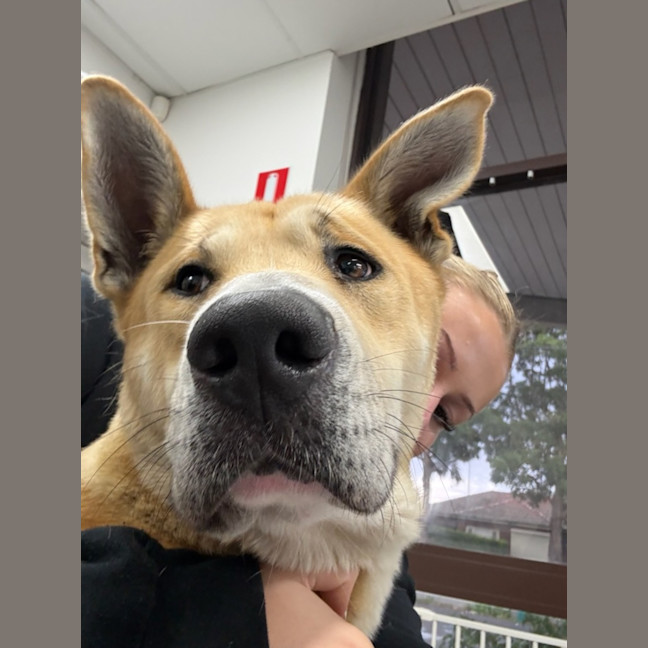 Photo of Milo