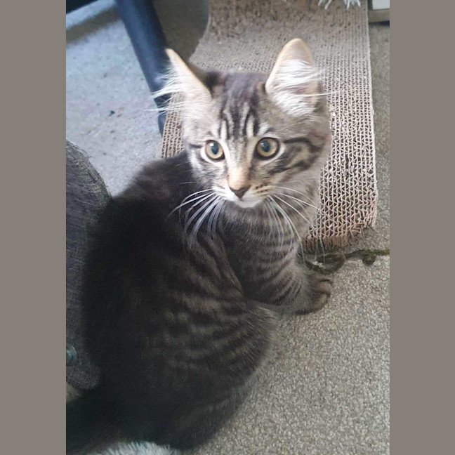 Photo of Memphis And Lucille