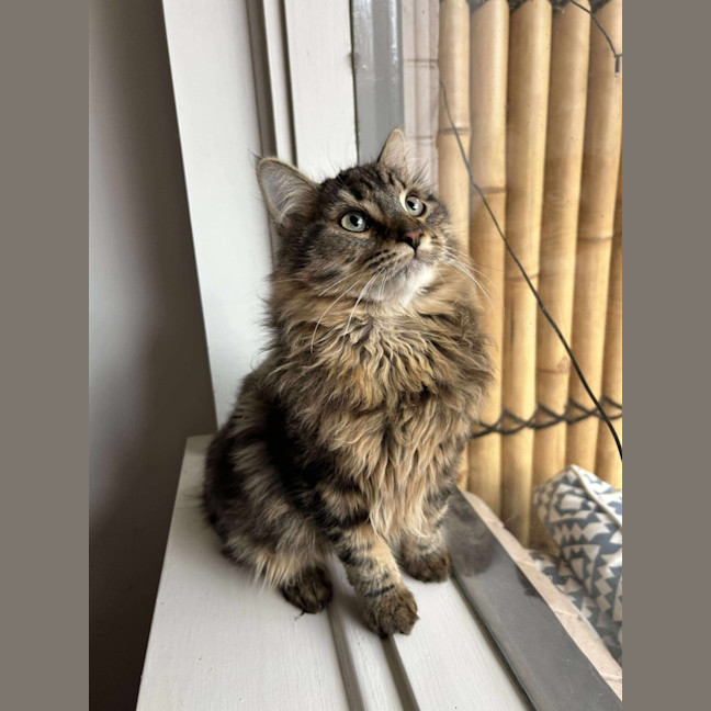 Photo of Spike & Angel 