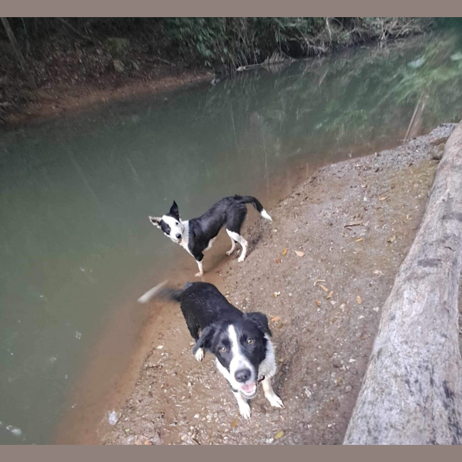 Photo of Bindi